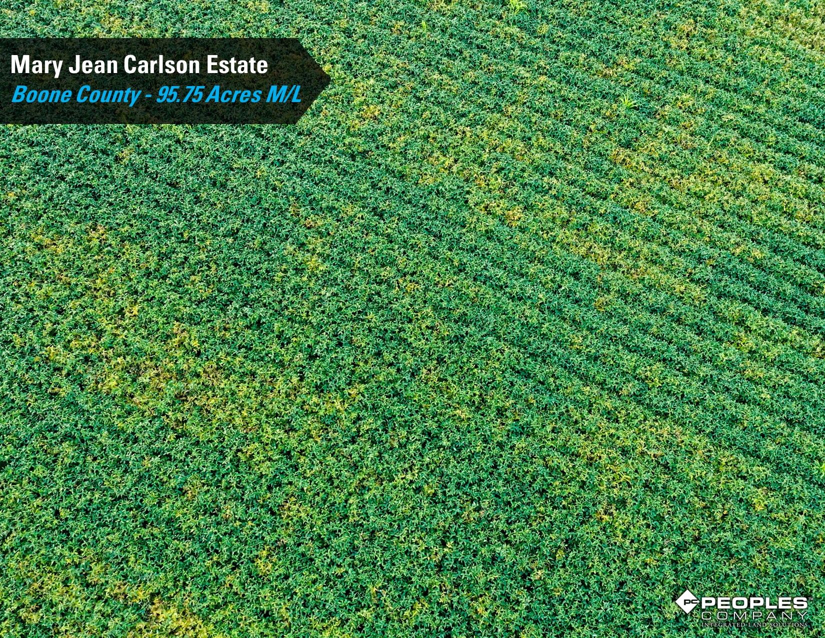 Listing Photo: Boone-County-IA-Land-Auction-95.75-Acres-Ogden-Carlson-Estate (12)
